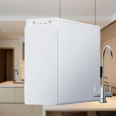 Reverse Osmosis Water Filter with 36 Months RO Filter Life and UV Printing Pattern